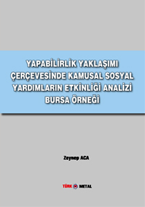 YAPILABİLİRLİK YAKLAŞIMI  ÇERÇEVESİNDE KAMUSAL SOSYAL YARDIMLARIN ETKİNLİĞİ ANALİZİ BURSA ÖRNEĞİ