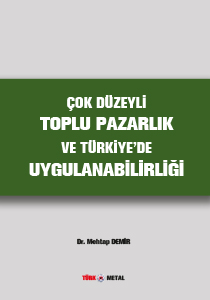 ÇOK DÜZEYLİ TOPLU PAZARLIK VE TÜRKİYE’DE UYGULANABİLİRLİĞİ